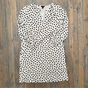 Ann Taylor Polka Dot Shift Dress